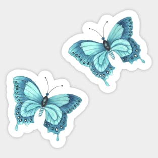 Turquoise butterfly, blue emperor Sticker